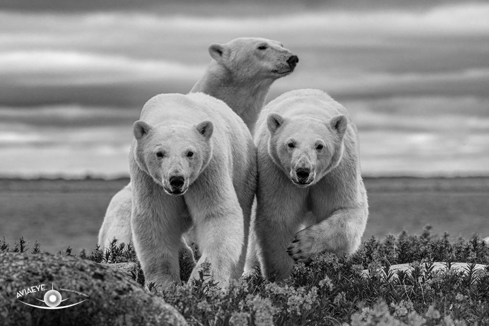 Galéria SPP uvádza výstavu fotografií talentovaného slovenského fotografa 